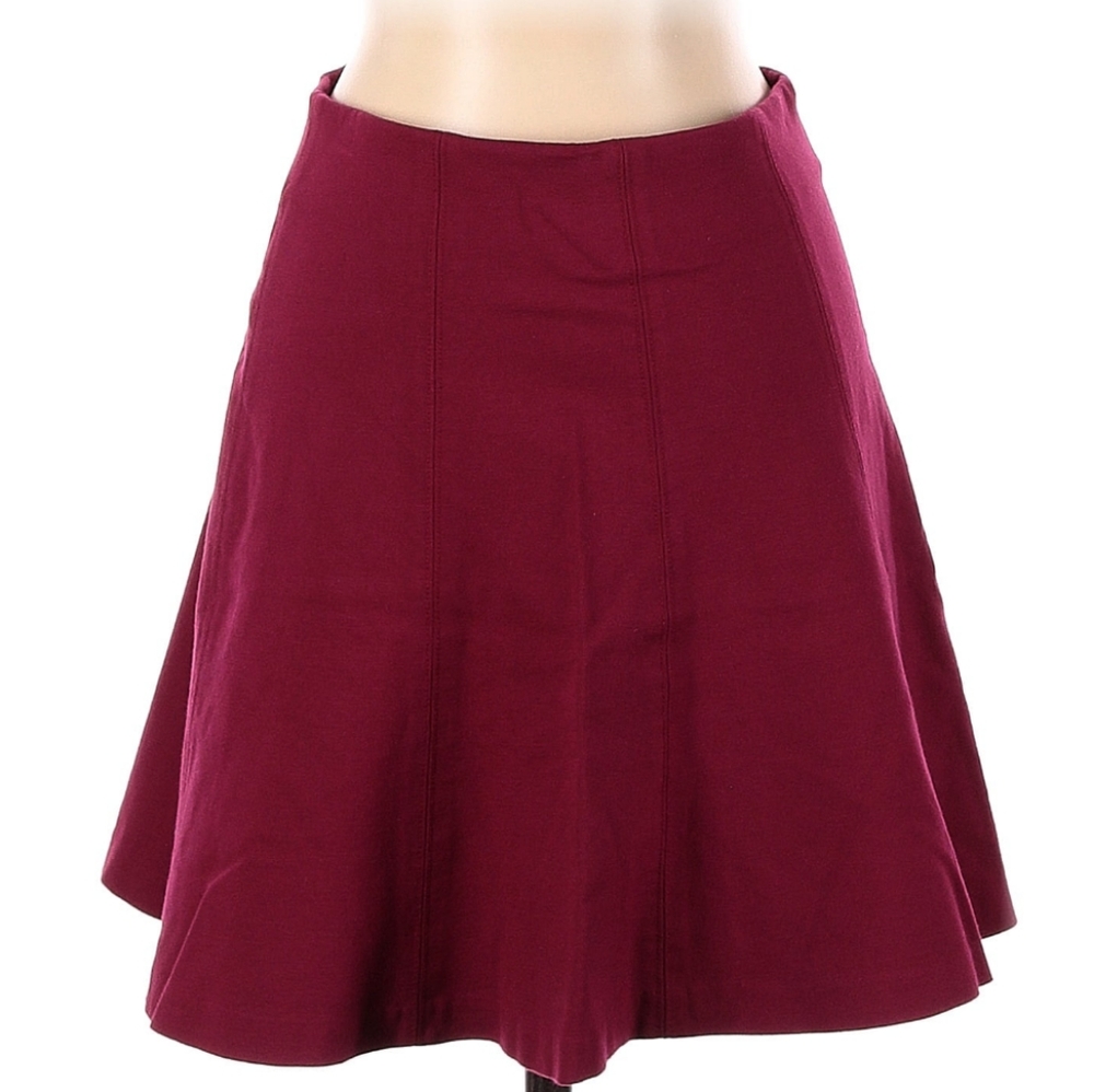 Ann Taylor LOFT circle skirt